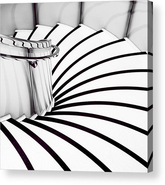 Zebra Acrylic Print featuring the photograph Down The Steps by Jacqueline Hammer