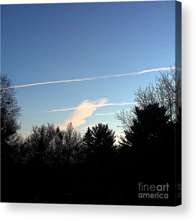Nature Acrylic Print featuring the photograph Draw the Line by Frank J Casella
