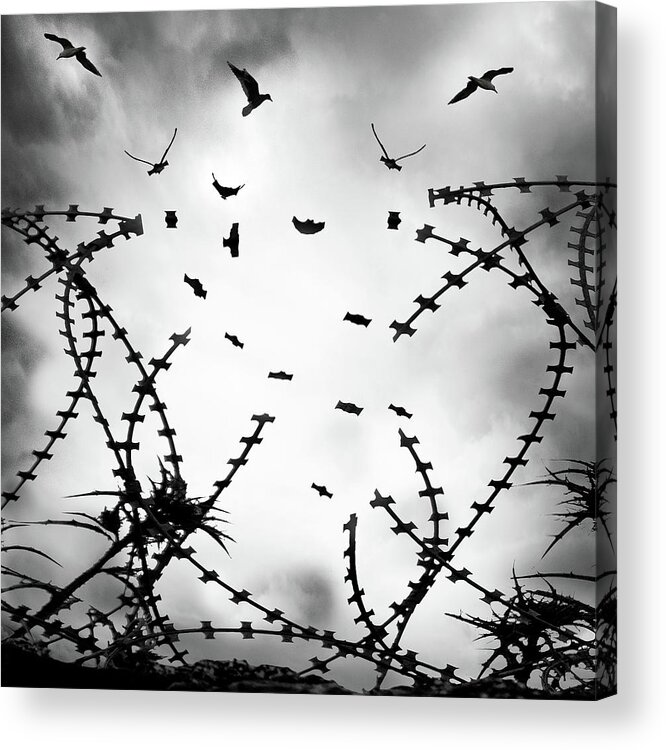 Conceptual Acrylic Print featuring the photograph Dreamland 08 by George Digalakis