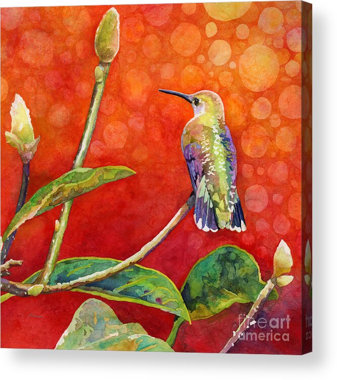 Hummingbird Acrylic Print featuring the painting Dreamy Hummer by Hailey E Herrera