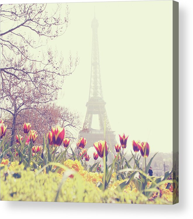 Built Structure Acrylic Print featuring the photograph Eiffel Tower With Tulips by Gabriela D Costa