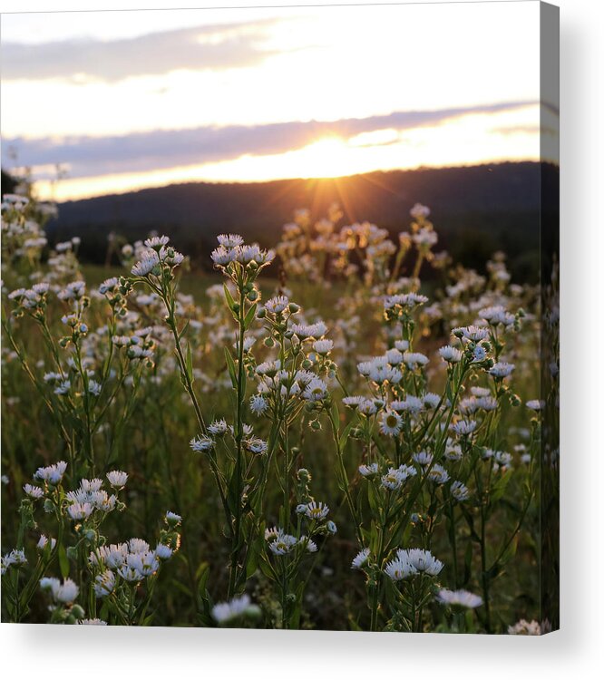 Evening Acrylic Print featuring the photograph Evening Glow by Bari Rhys