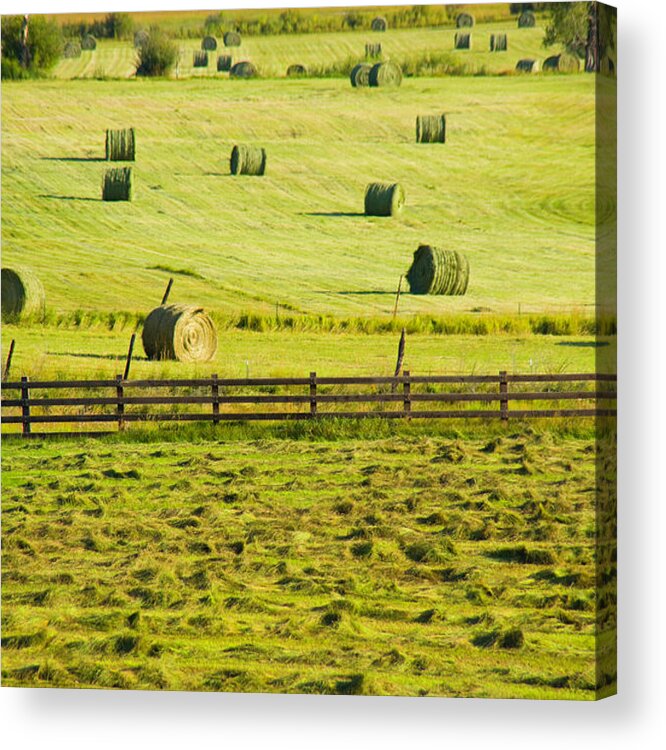 Outdoors Acrylic Print featuring the photograph Fall Harvest Field by Donovan Reese