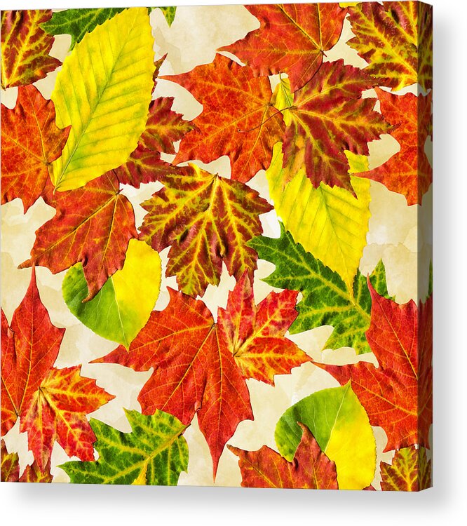 Fall Leaves Acrylic Print featuring the mixed media Fall Leaves Pattern by Christina Rollo