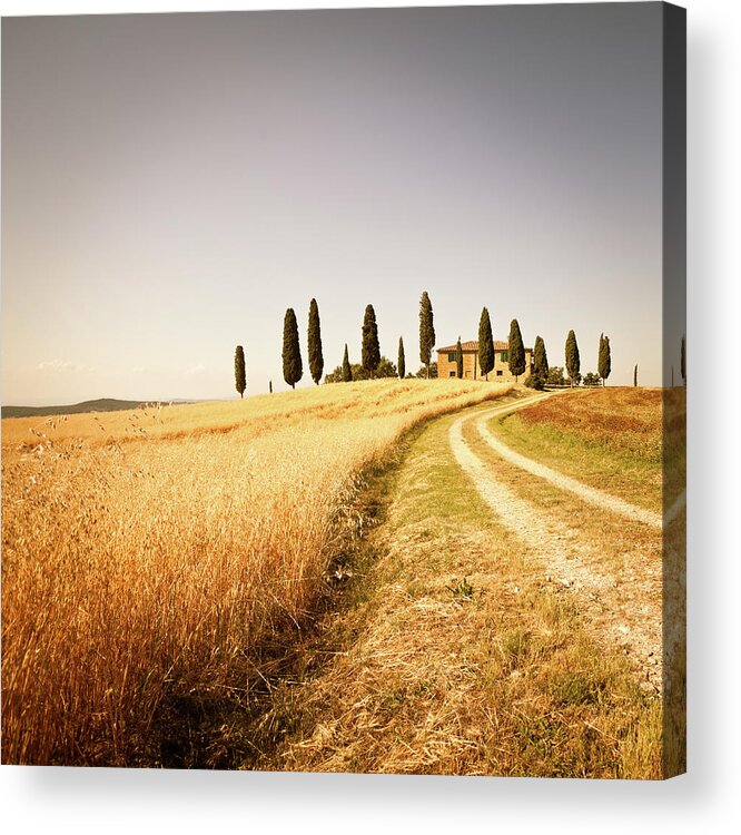 Scenics Acrylic Print featuring the photograph Farmhouse And Rural Road In Val Dorcia by Zodebala