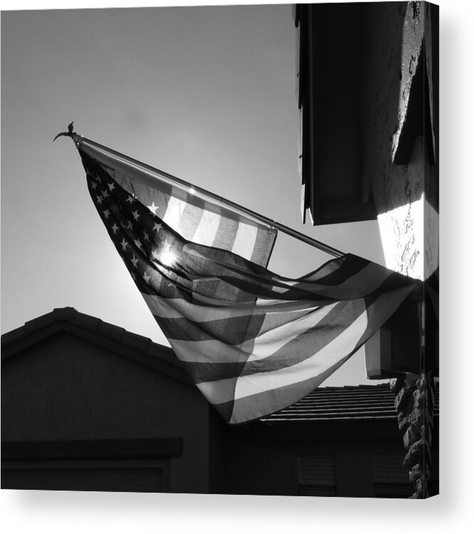 Filtered Sunlight Acrylic Print featuring the photograph Filtered Sunlight by Bill Tomsa