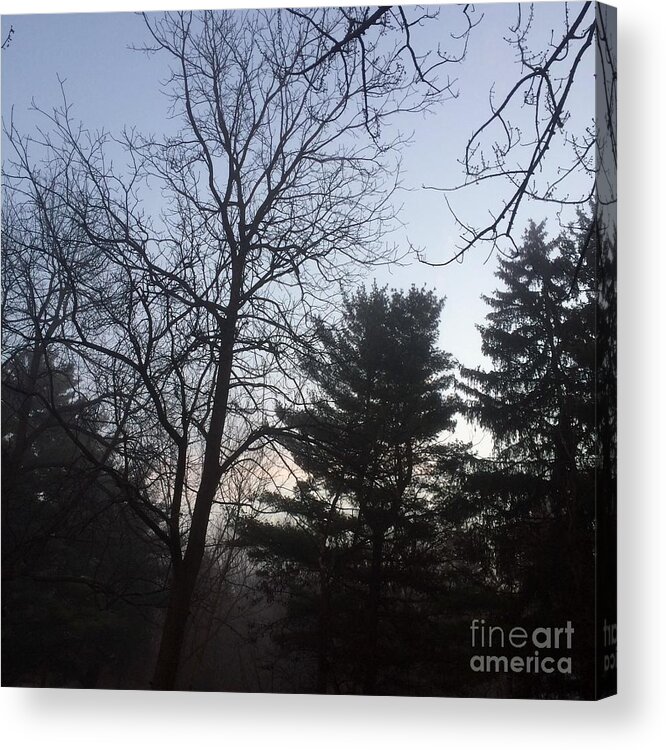 Nature Acrylic Print featuring the photograph First Light and Fog by Frank J Casella
