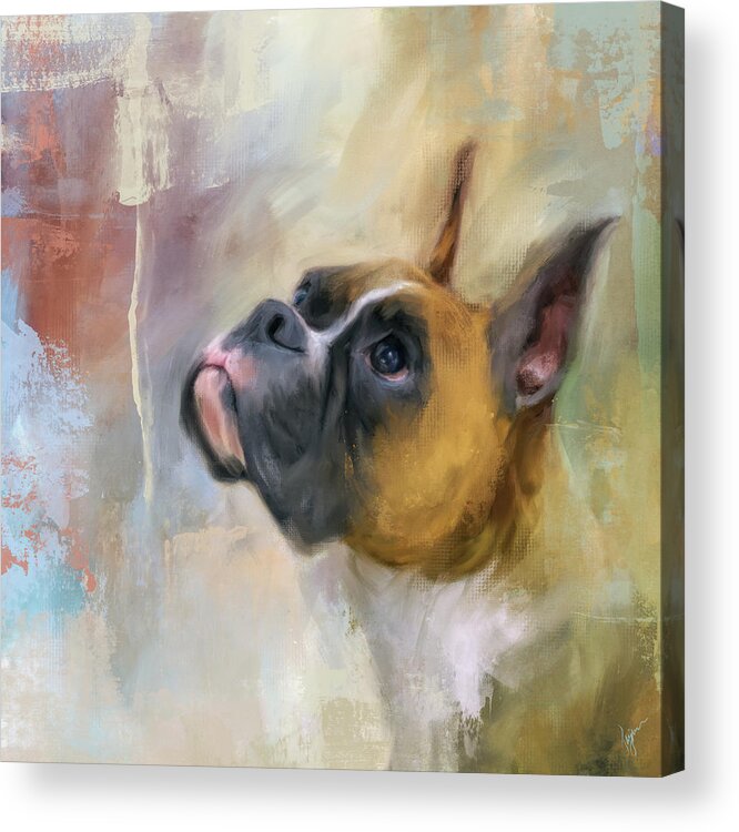 Colorful Acrylic Print featuring the painting Flashy Fawn Boxer by Jai Johnson