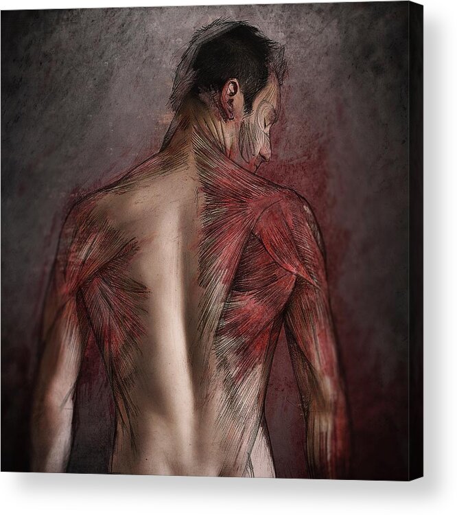Creative Edit Acrylic Print featuring the photograph Flayed Sketches II by Sebastien Del Grosso