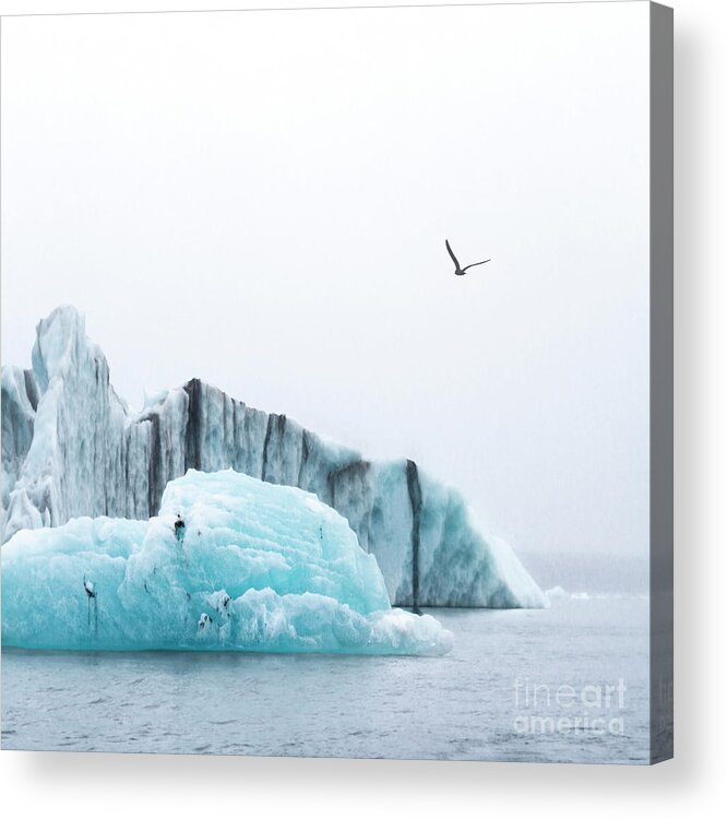 Kremsdorf Acrylic Print featuring the photograph Floating Giants by Evelina Kremsdorf