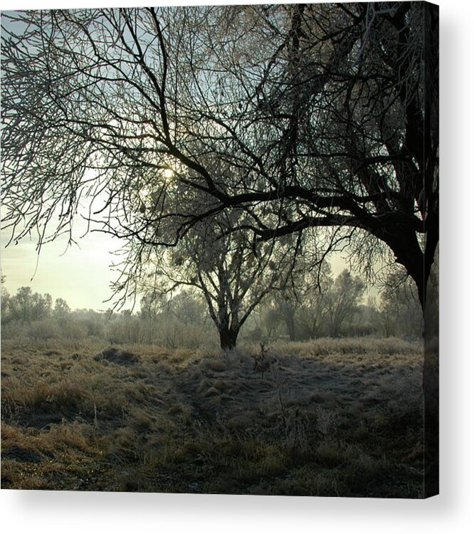 Winter Acrylic Print featuring the photograph Following Old Masters by Jacek Stefan