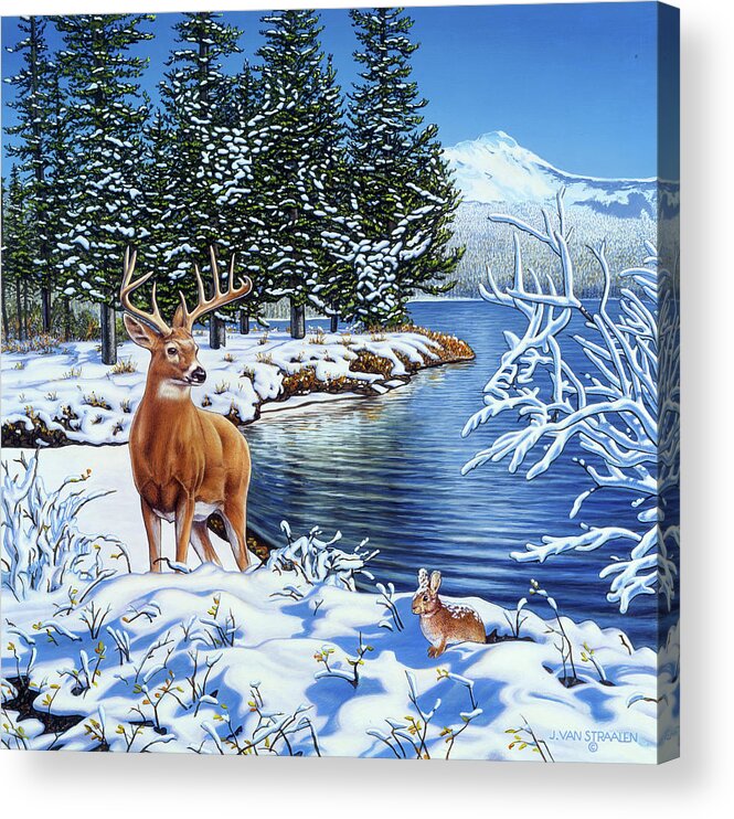 Deer Standing In Snow Next To Stream And Bunny. Acrylic Print featuring the painting Forest Edge by John Van Straalen