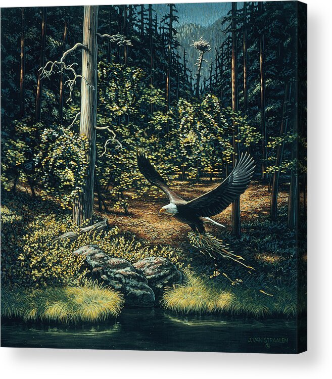 Forest Sentinel Acrylic Print featuring the painting Forest Sentinel by John Van Straalen