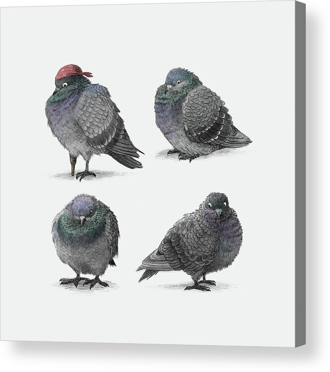 Pigeon Acrylic Print featuring the drawing Four Pigeons by Eric Fan