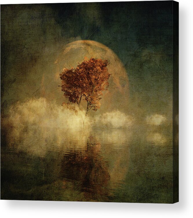 Autumn Acrylic Print featuring the digital art Full moon over water by Jan Keteleer
