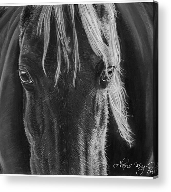 Horse Acrylic Print featuring the photograph Gentle Eyes in bw by Alexis King-Glandon