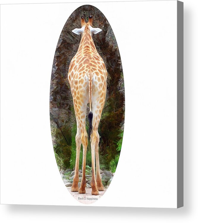 Giraffe Acrylic Print featuring the photograph Giraffe happy by Hartmut Knisel