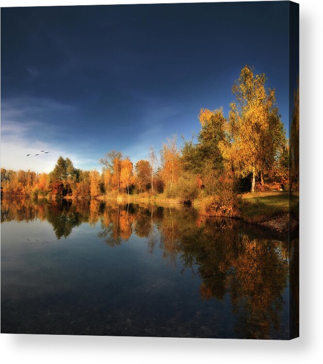 Scenics Acrylic Print featuring the photograph Gold Rush by Philippe Sainte-laudy Photography