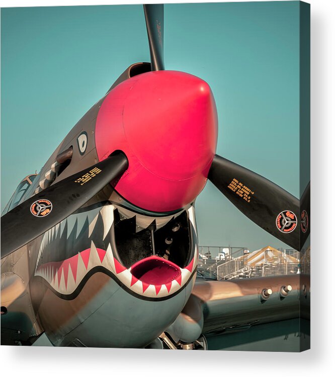 Fighter Acrylic Print featuring the photograph Gonna Get Ya by Laura Hedien