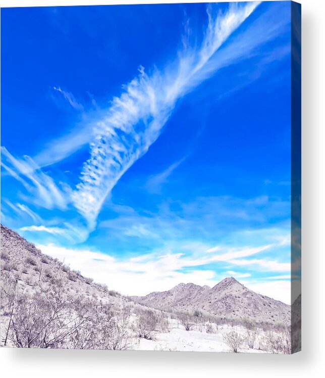 Arizona Acrylic Print featuring the photograph Hand Planting in the Sky by Judy Kennedy