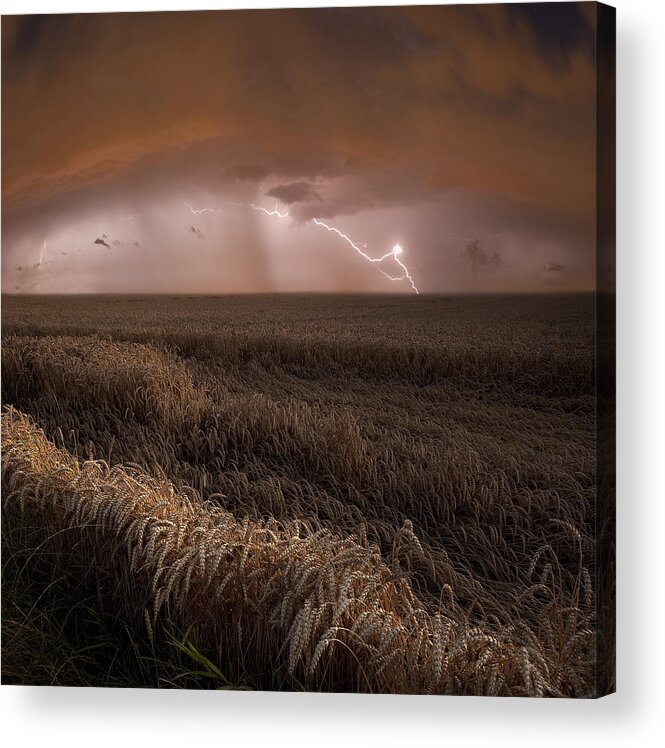 Harveststrohgaeu Acrylic Print featuring the photograph Harvest Lights by Franz Schumacher