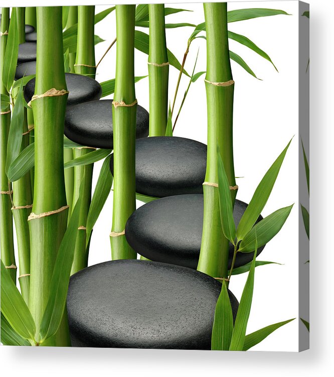 Bamboo Acrylic Print featuring the photograph Healthy Way by Pixhook