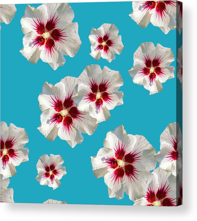 Hibiscus Flower Acrylic Print featuring the mixed media Hibiscus Flower Pattern by Christina Rollo