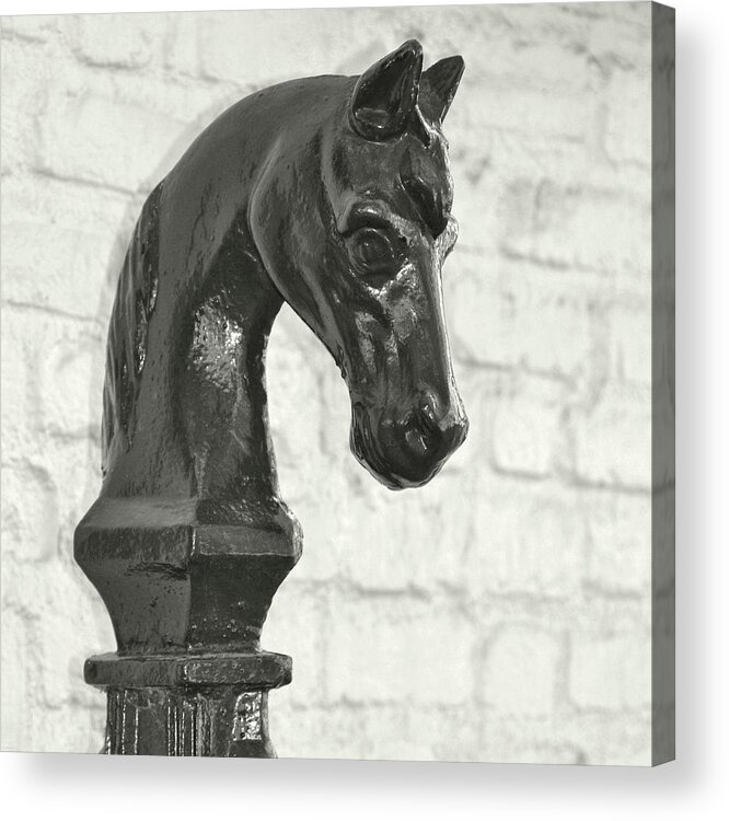 America Acrylic Print featuring the photograph Hitching Post Art by Dressage Design