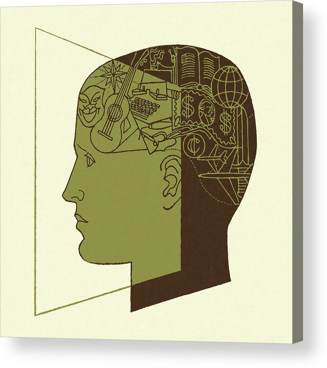 Brain Acrylic Print featuring the drawing Human Knowledge by CSA Images