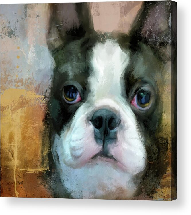 Colorful Acrylic Print featuring the painting I Adore You Boston Terrier Art by Jai Johnson