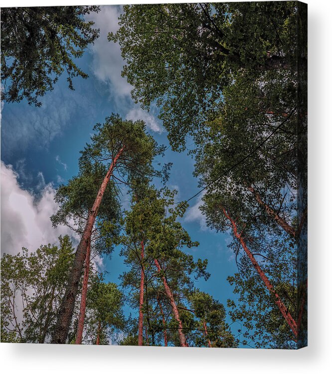 In The Blue Acrylic Print featuring the photograph In The Blue #i0 by Leif Sohlman