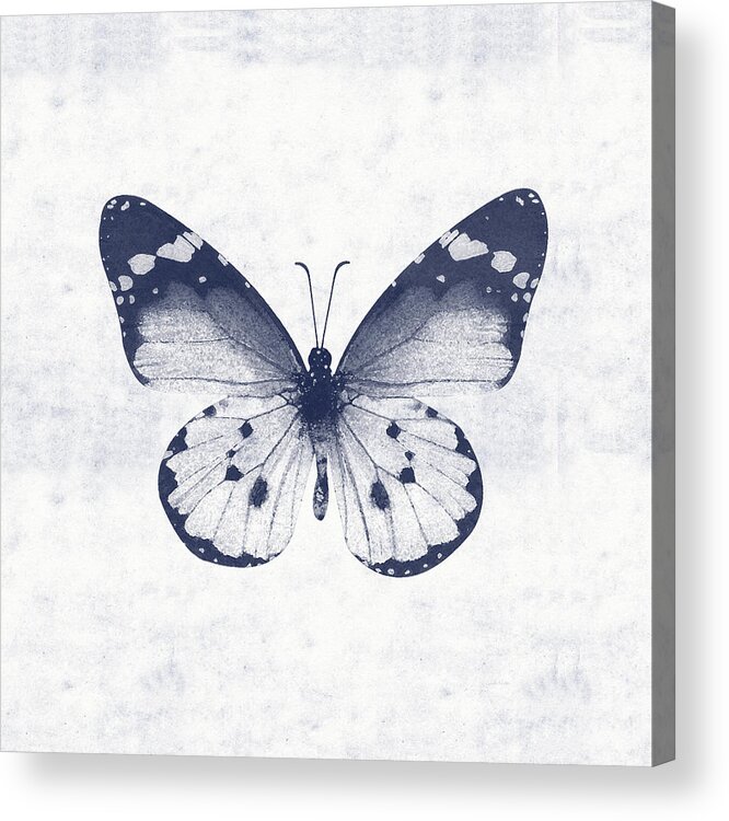 Butterfly White Blue Indigo Skeleton Butterfly Wings Modern Bohemianinsect Bug Garden Nature Organichome Decorairbnb Decorliving Room Artbedroom Artcorporate Artset Designgallery Wallart By Linda Woodsart For Interior Designersgreeting Cardpillowtotehospitality Arthotel Artart Licensing Acrylic Print featuring the mixed media Indigo and White Butterfly 1- Art by Linda Woods by Linda Woods