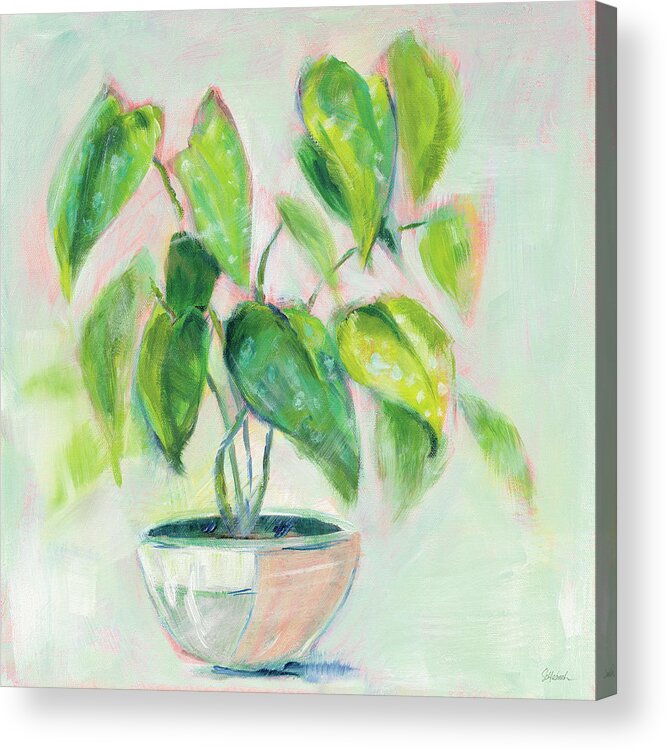 Coral Acrylic Print featuring the painting Indoor Happiness by Sue Schlabach