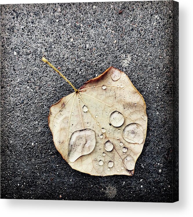 Autumn Acrylic Print featuring the photograph Just a glimpse of Autumn by Alexander Fedin