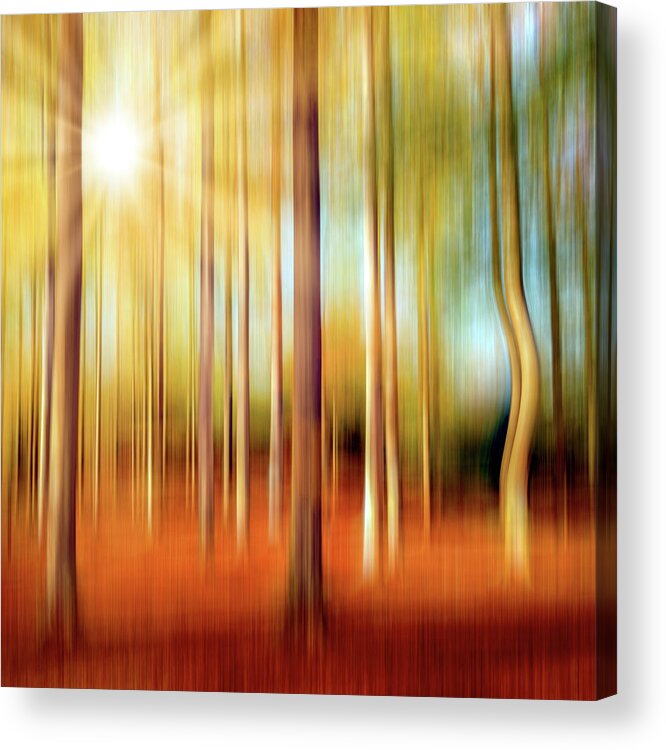 Forest Acrylic Print featuring the photograph Just a Ripple by Philippe Sainte-Laudy