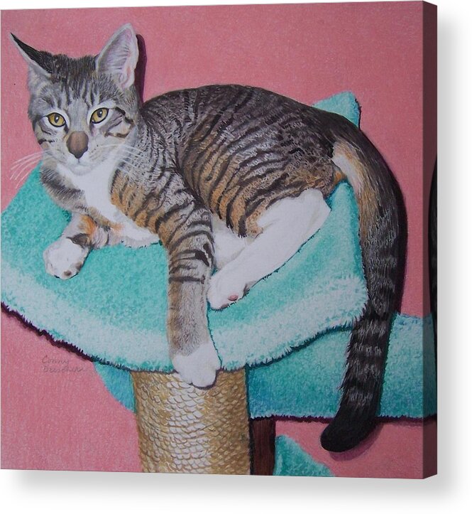 Cat Acrylic Print featuring the mixed media Kail by Constance DRESCHER