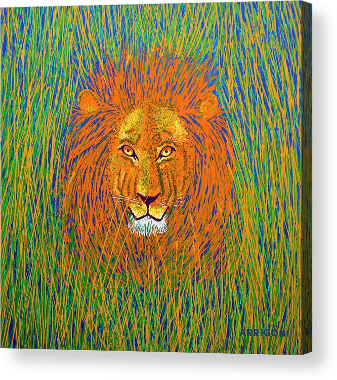 Lion Acrylic Print featuring the painting Lion in the Grass by David Arrigoni