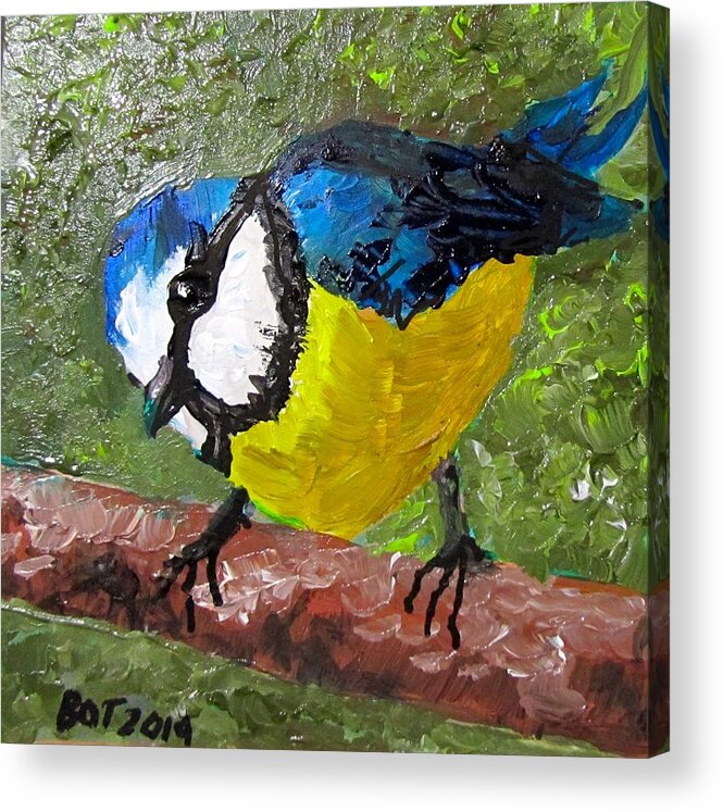 Bird Acrylic Print featuring the painting Little Blue Tit by Barbara O'Toole
