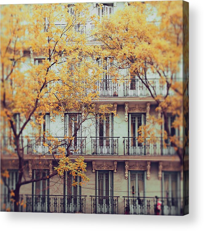 Tranquility Acrylic Print featuring the photograph Madrid Facade In Late Autumn by Julia Davila-lampe