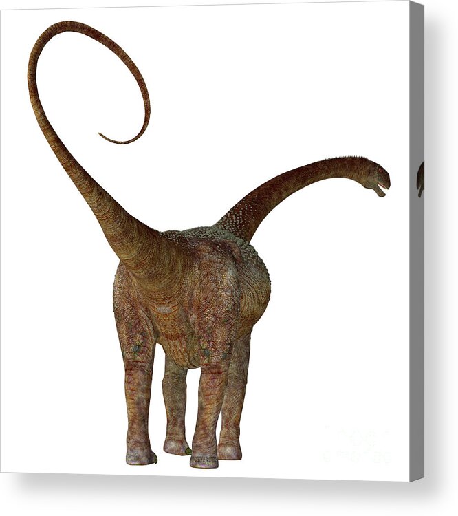 Malawisaurus Acrylic Print featuring the digital art Malawisaurus Dinosaur Tail by Corey Ford
