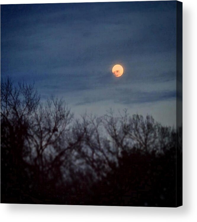 Daniel Acrylic Print featuring the painting Moonrise and Trees by Daniel Nelson