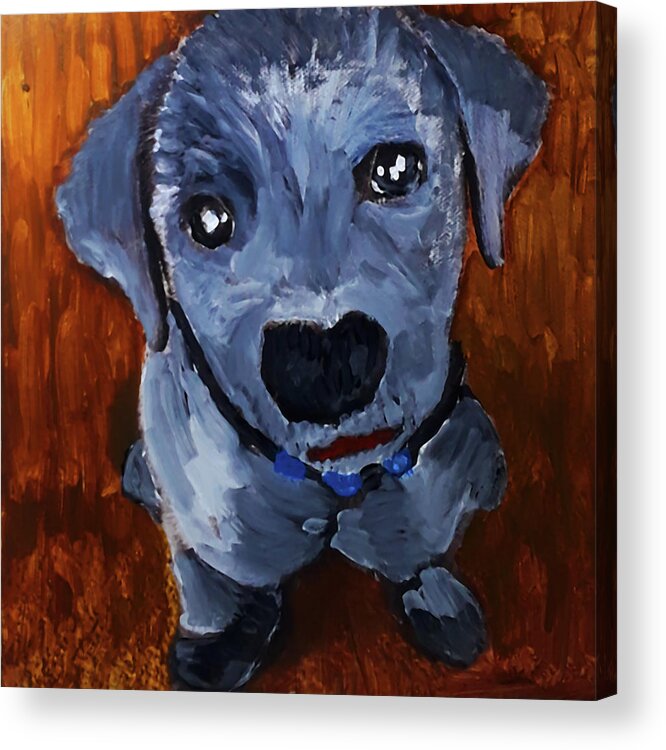 Pets Acrylic Print featuring the painting My New Collar by Gabby Tary