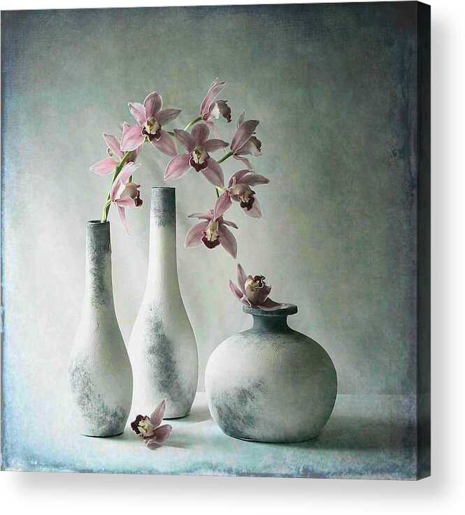 Cymbidium Acrylic Print featuring the photograph Orchid Mood by Fangping Zhou