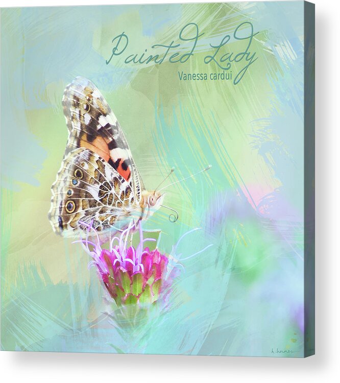 Butterfly Acrylic Print featuring the photograph Painted Lady Watercolor Photo by Hermes Fine Art