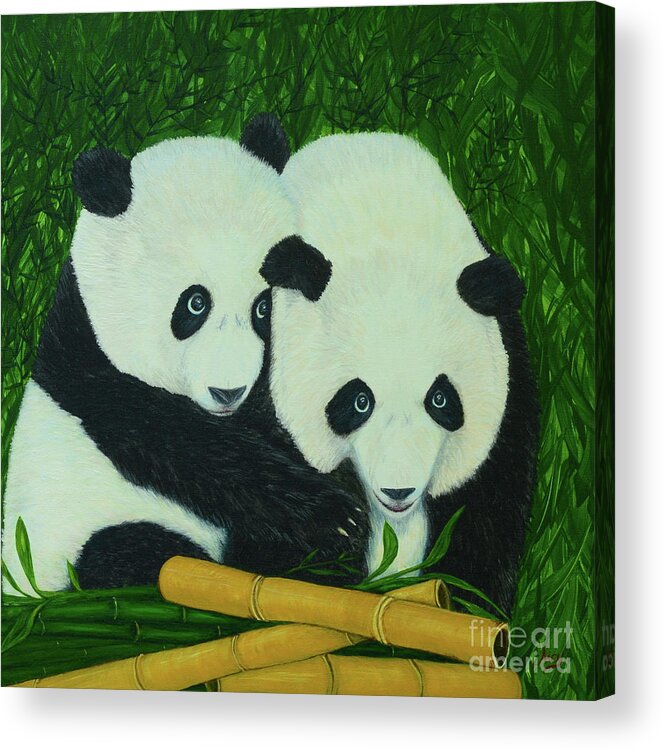Panda Acrylic Print featuring the painting Panda Bears and Bamboo by Aicy Karbstein