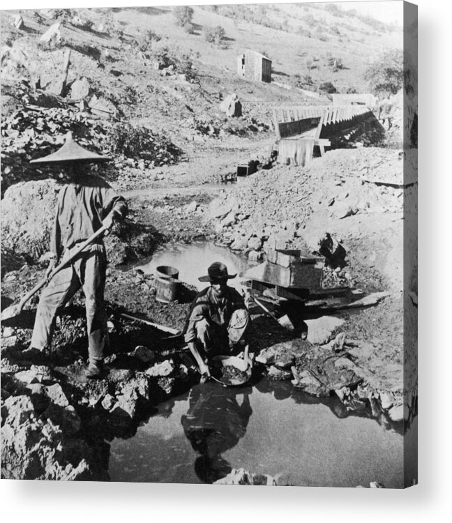 Miner Acrylic Print featuring the photograph Panning For Gold by Hulton Archive