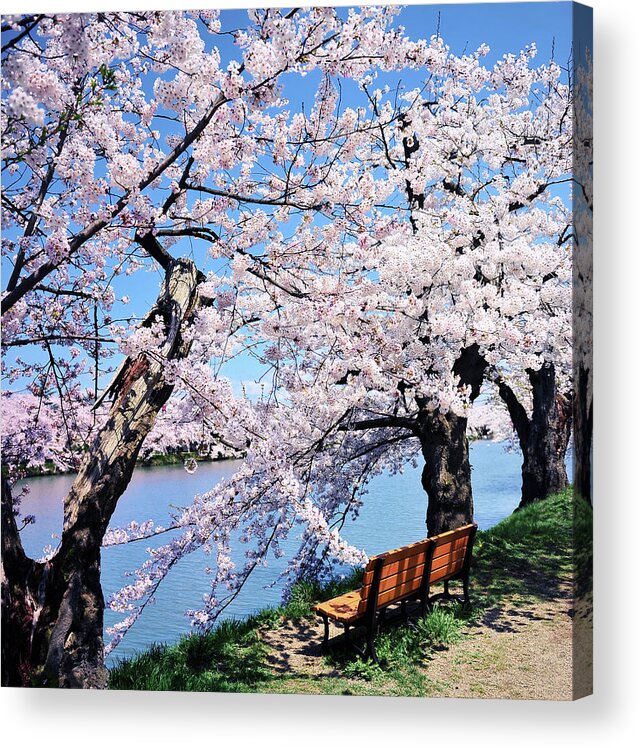 Aomori Prefecture Acrylic Print featuring the photograph Park Chair by Photo By Glenn Waters In Japan