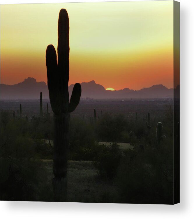 Picacho Peak State Park Acrylic Print featuring the photograph Picacho Peak Sunset Square by David T Wilkinson