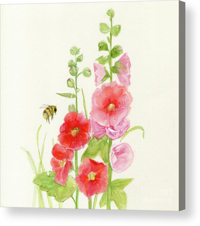 Flowers Acrylic Print featuring the painting Pink Hollyhock Watercolor by Laurie Rohner