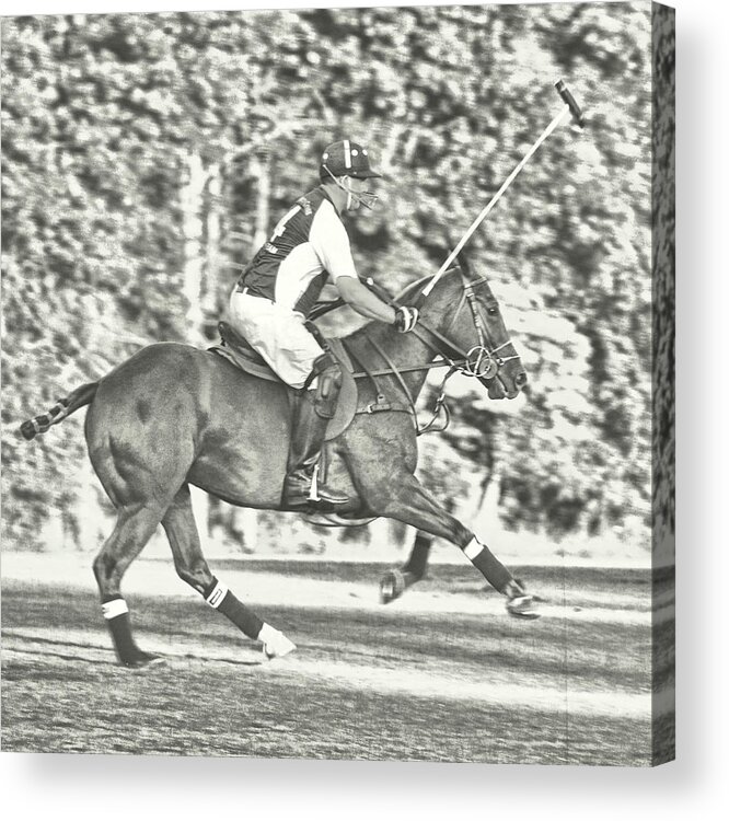 Ball Acrylic Print featuring the photograph Polo Ponies Play by Dressage Design